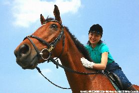 ＨＡＳ浜松乗馬クラブ